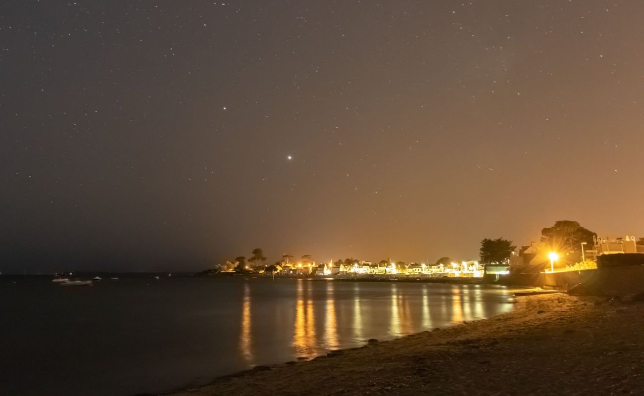 Light pollution, Coral reefs