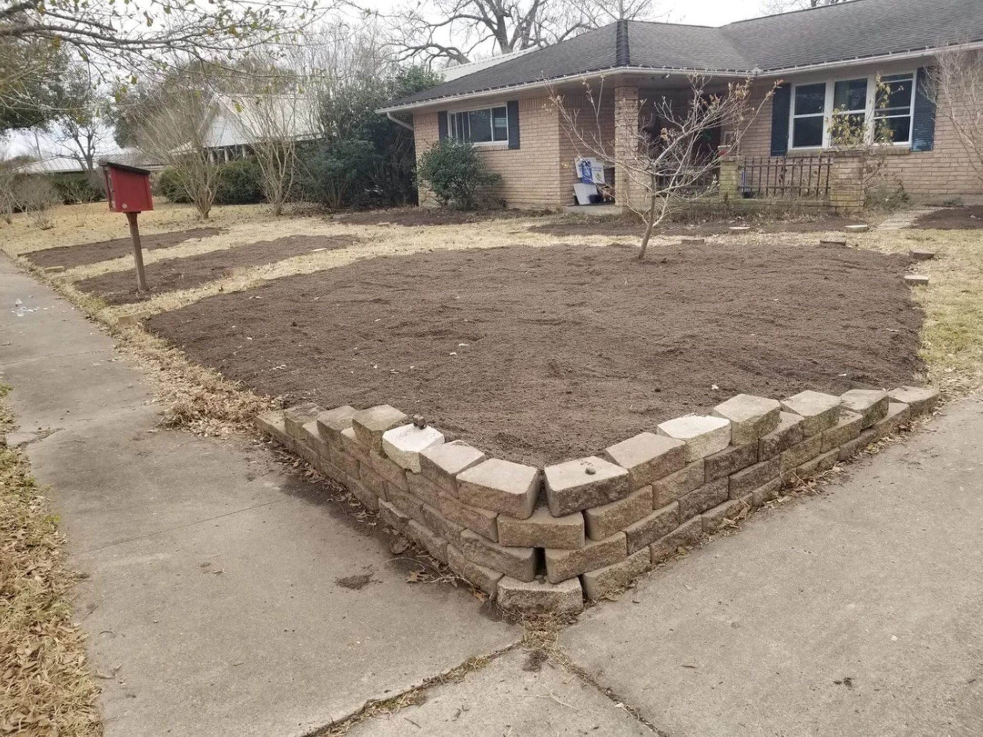 Before-and-after photos of 'anti-lawn'