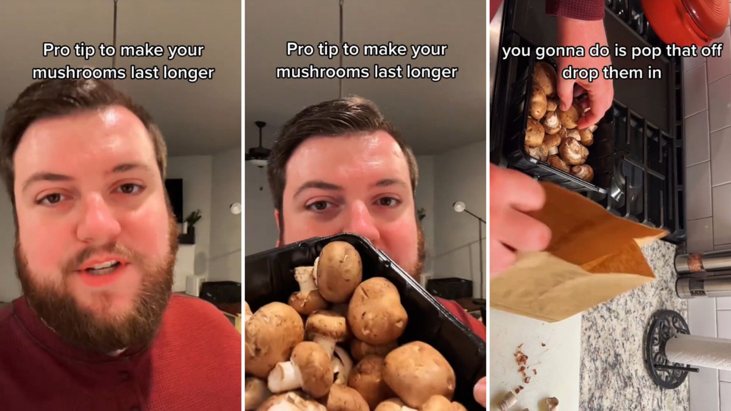 Fresh mushrooms