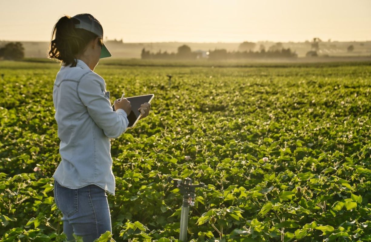 Copper hydrogel helping 'smart farms'