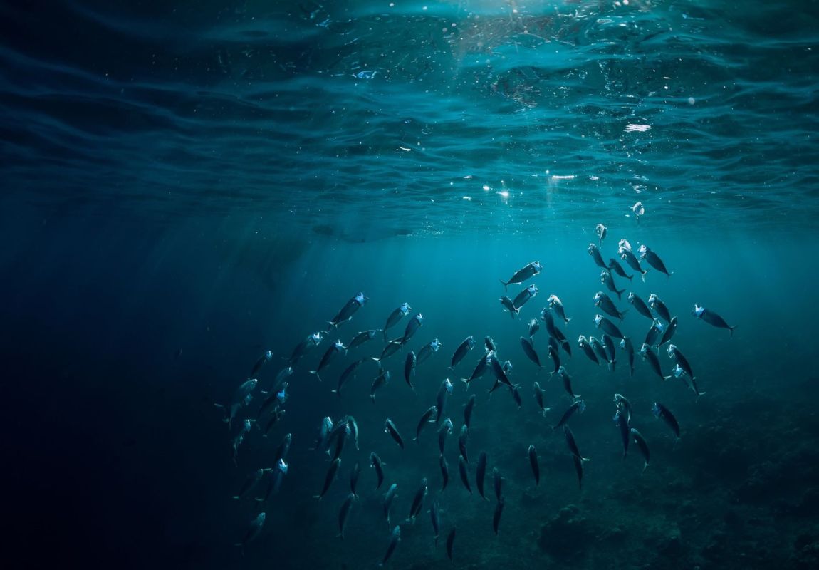 River plastic flowing into oceans