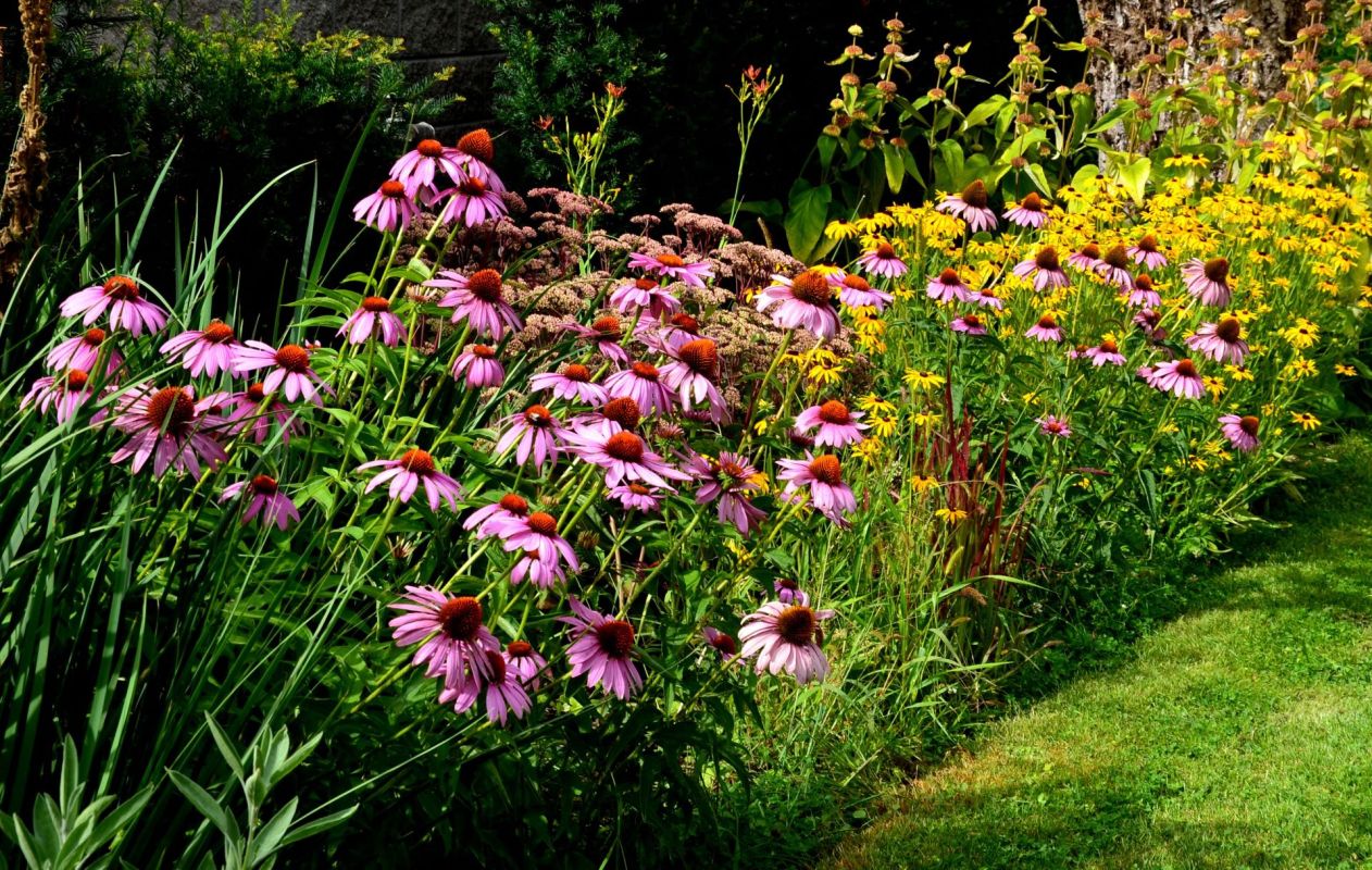 Unlike shredded bark or wood, native mulch can regenerate itself naturally.