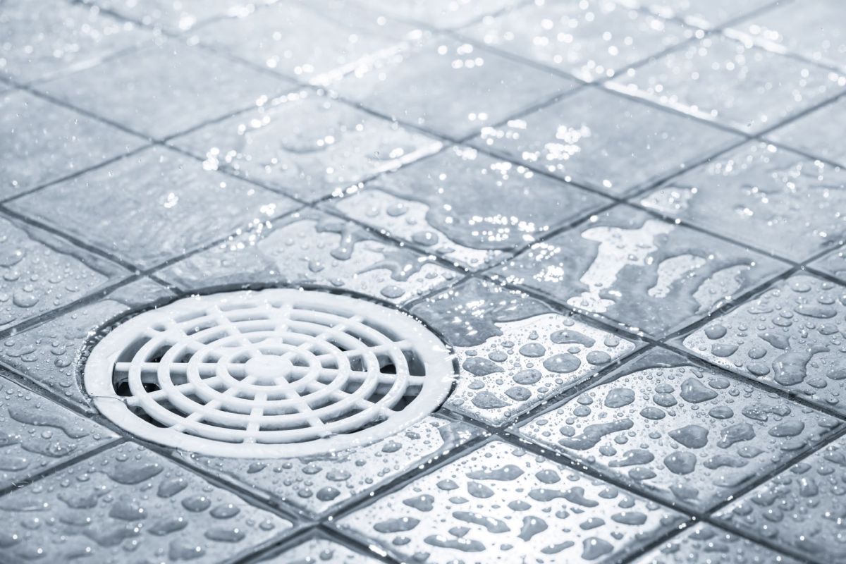 Self-care products, disturbing' photo taken inside of shower