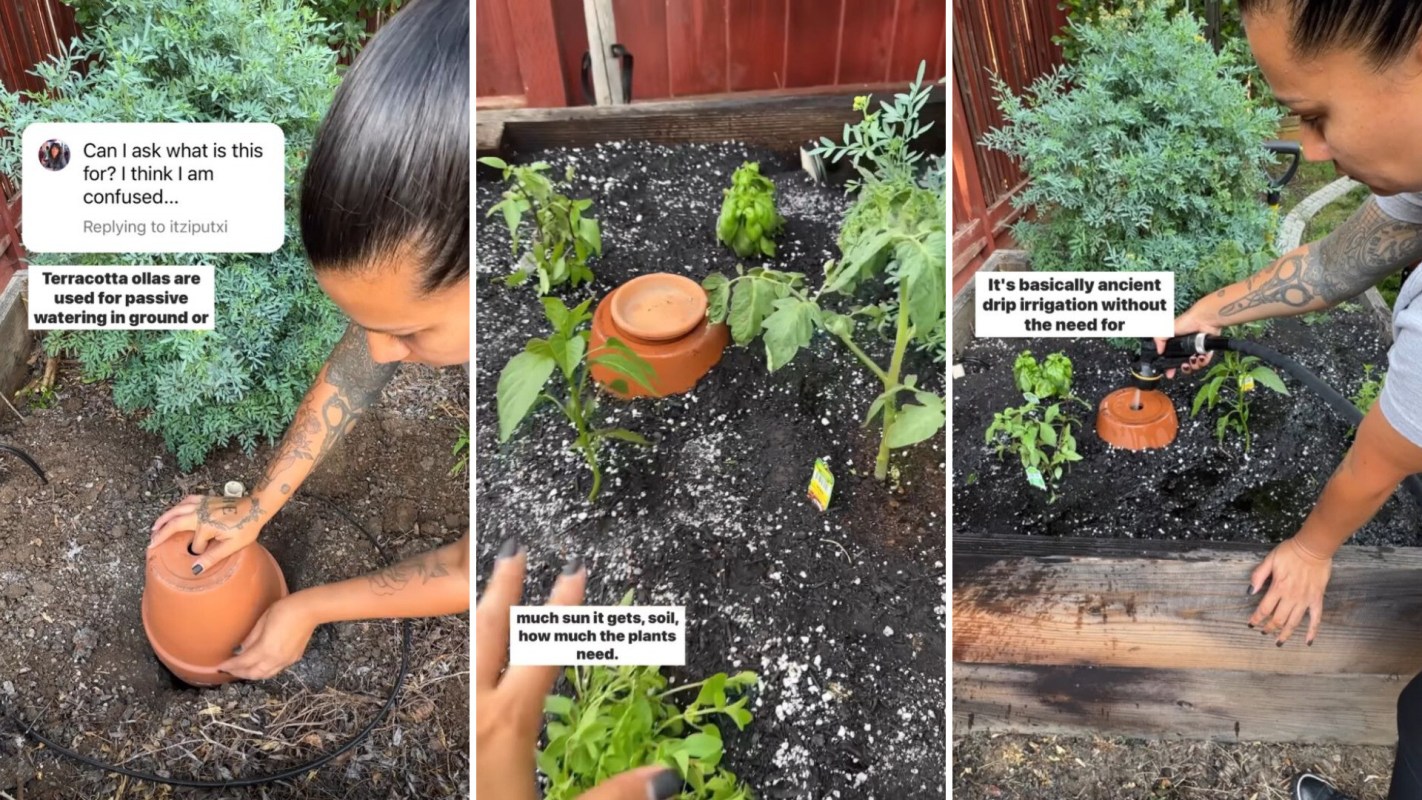 Olla, Ancient methods for easily watering your plants
