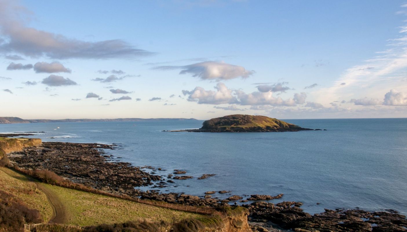 Looe island is teeming with biodiversity