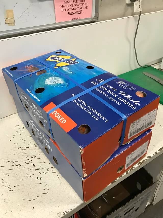 Lobster food waste