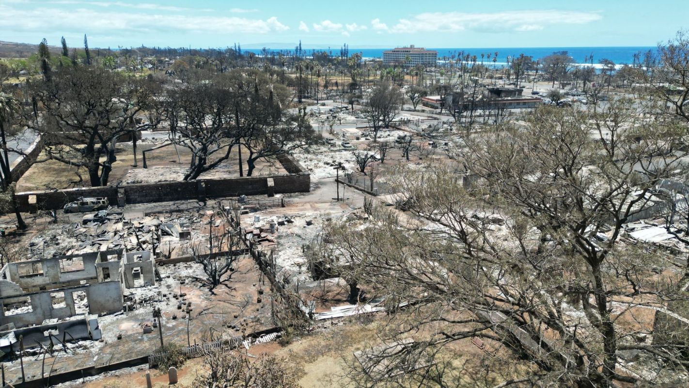 Maui wildfire cause, Ferocity of the Hawaiian wildfires