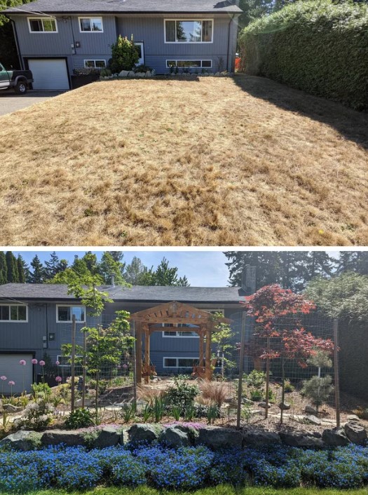 transformation in previously sunburnt yard: