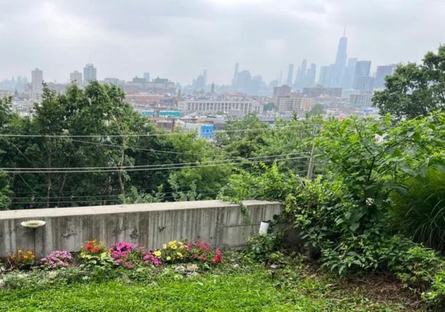 Clover lawn transformed from a basic urban backyard