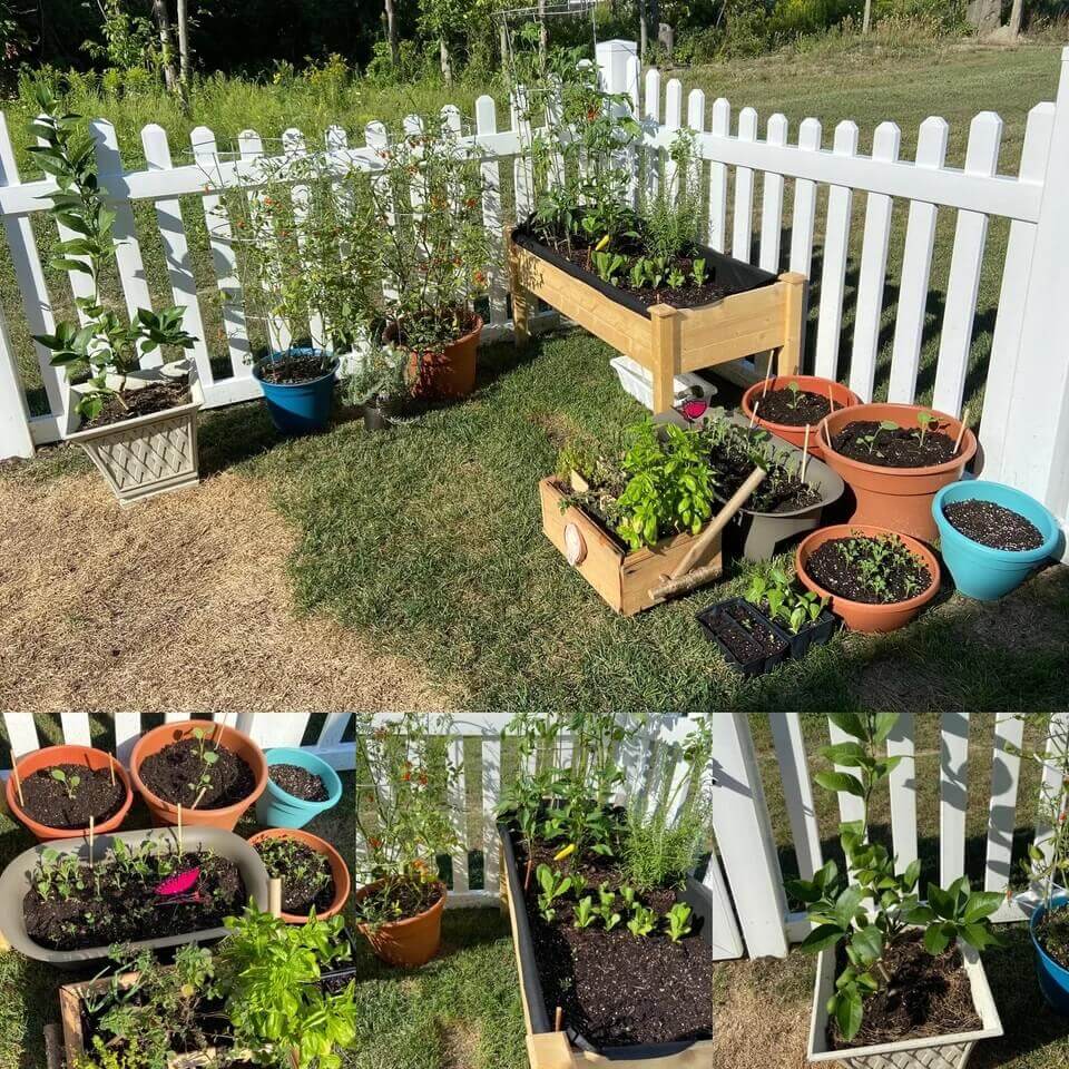 Container garden