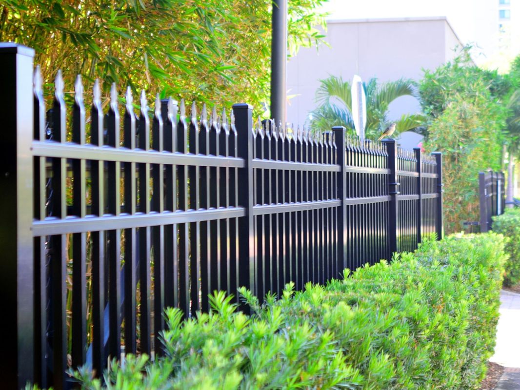 Yard after HOA penalizes them for supposedly having ‘excessive' weeds