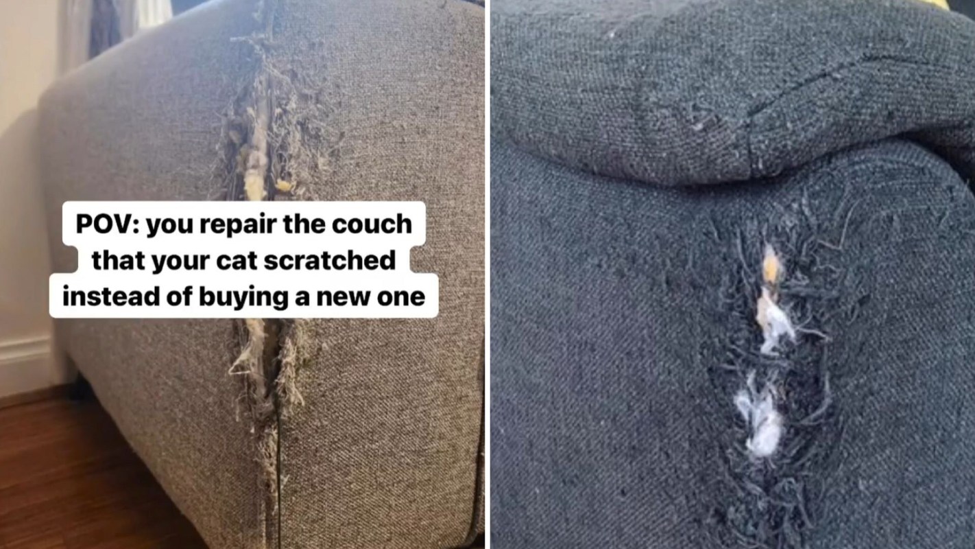 Couch a new life by decorating it, fix scratched-up couches