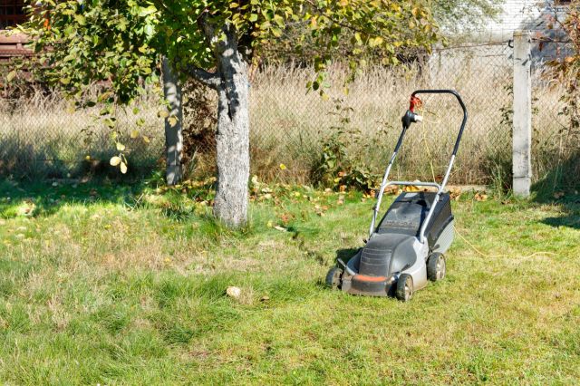 “Our grass versus neighbor’s.”