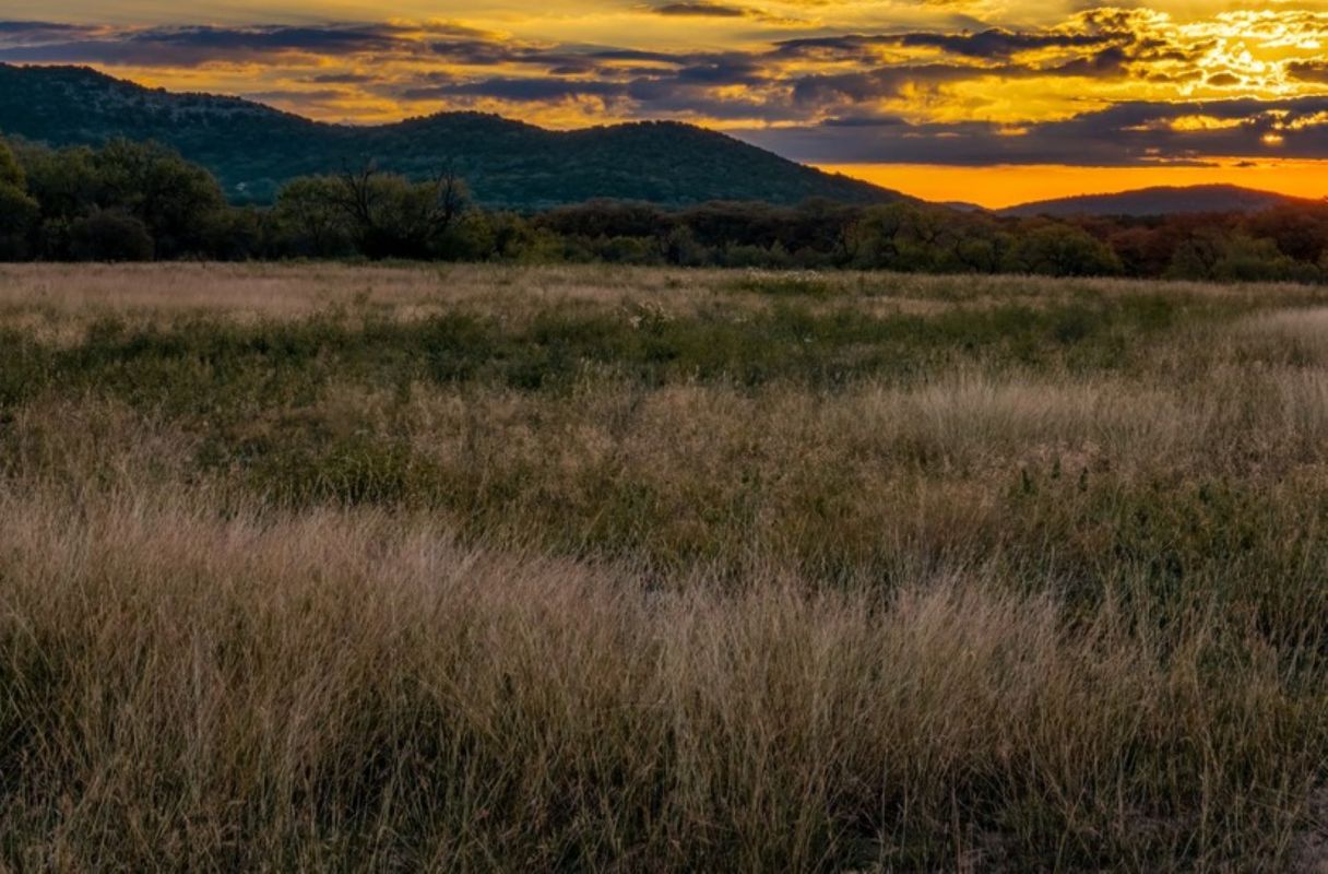 Honey Creek Texas, The plan was to build a subdivision in the area