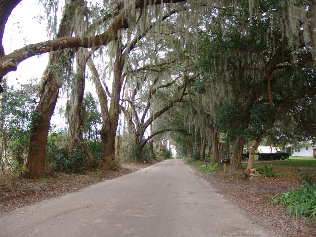 Zephyrhills is expected to run out of drinking water within the next two decades