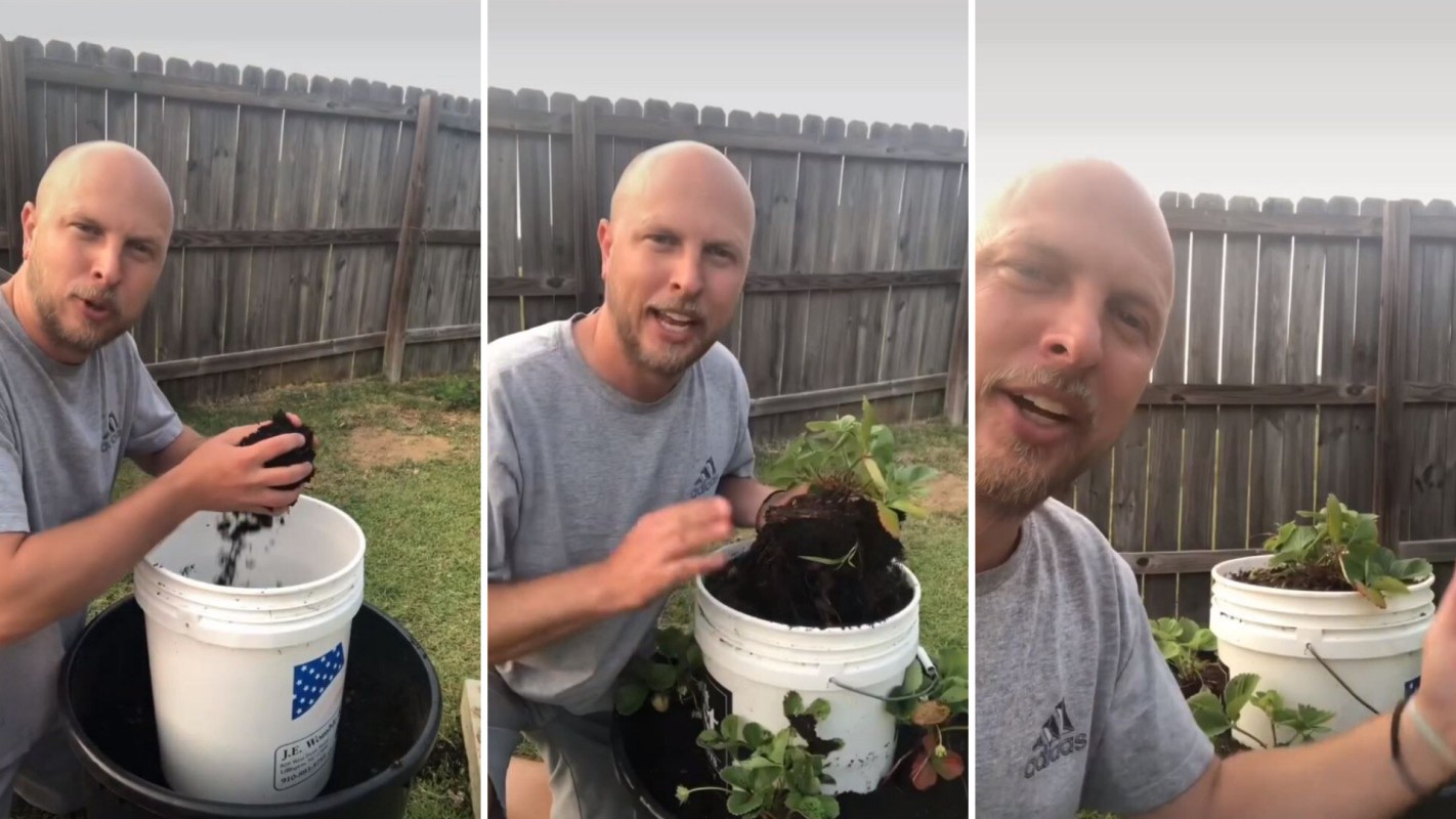 Growing tower, Popular method for growing plants in small spaces