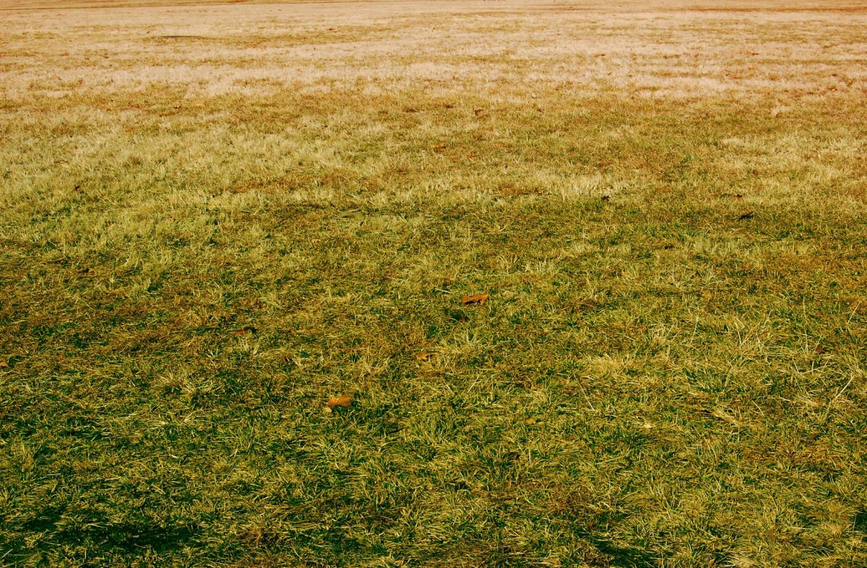 RoundUp, Neighbor for potentially poisoning their lawn