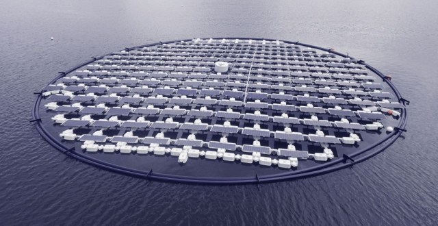 Proteus, Maximize its efficiency when absorbing the sun's rays