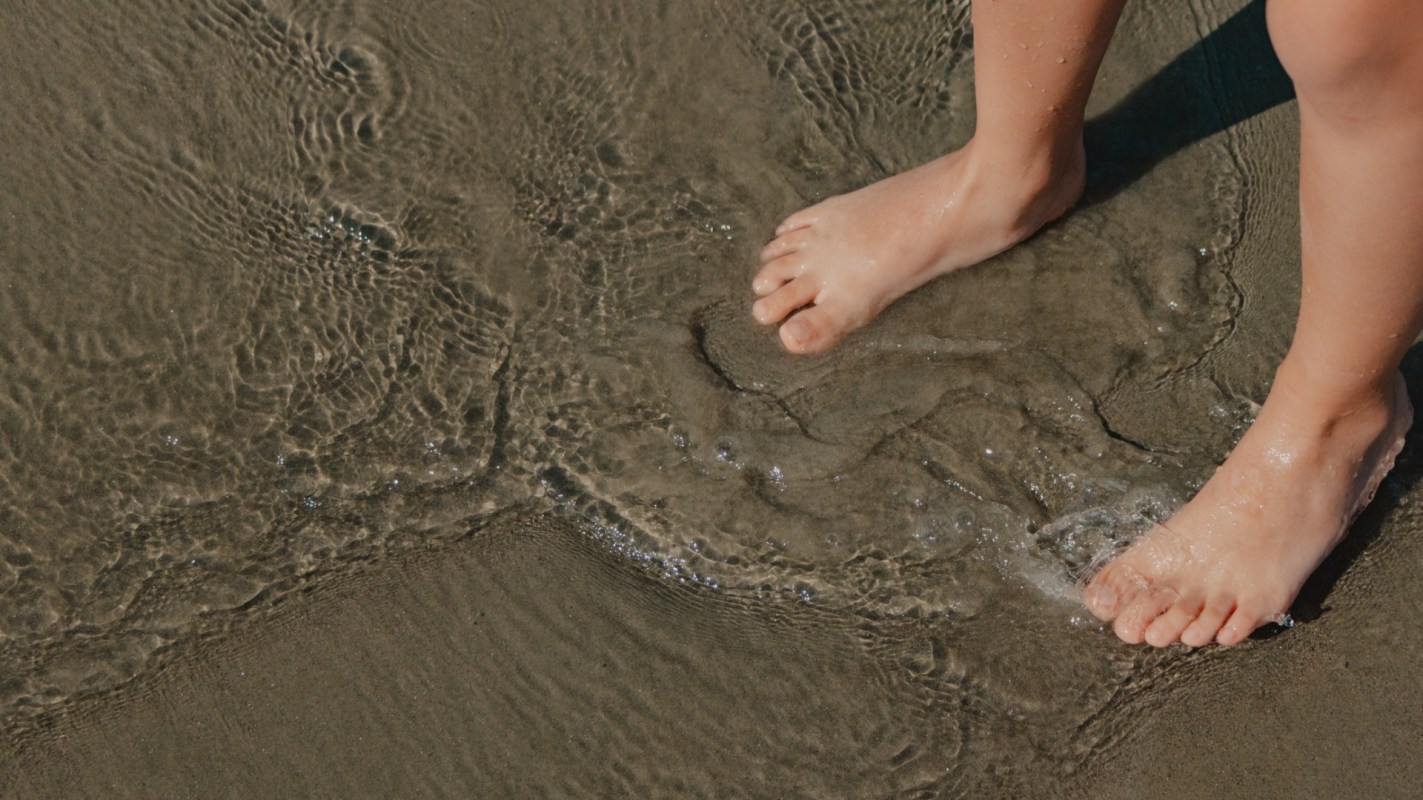 Vibrio vulnificus, Health official