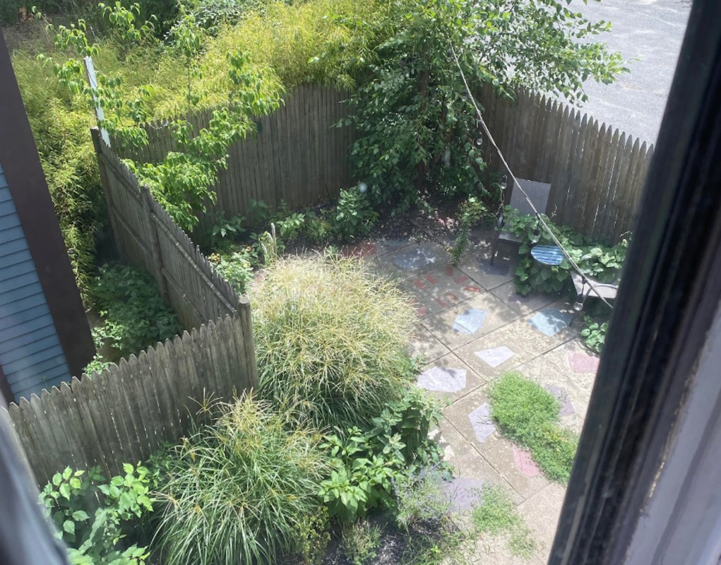 Native plant garden, Incredible backyard transformation