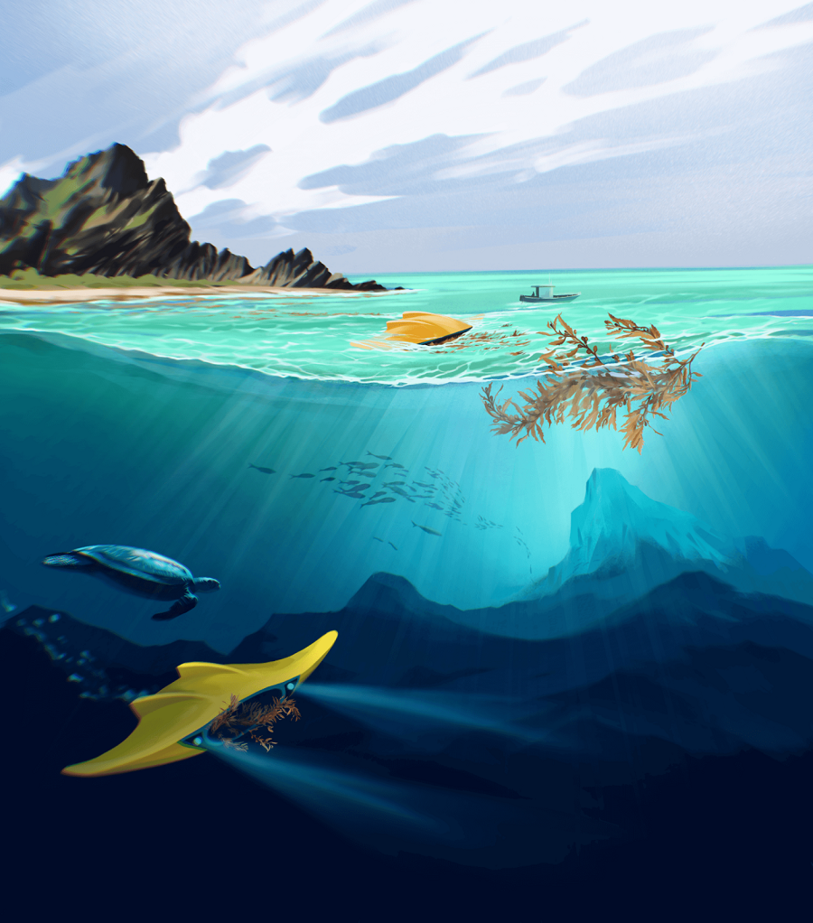 A rendering of AlgaRays