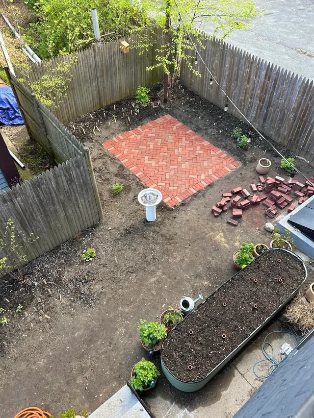 Native garden progress