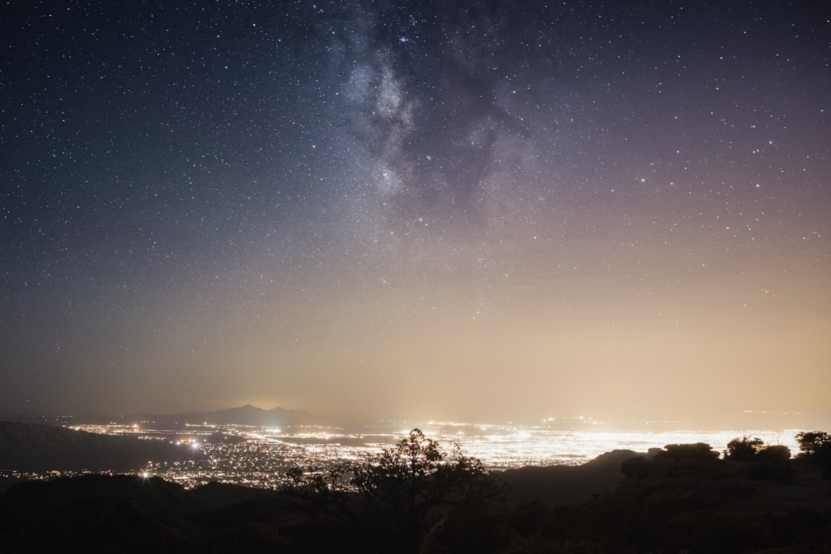 Mating signals of fireflies