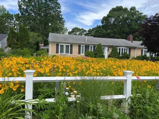 Flower garden