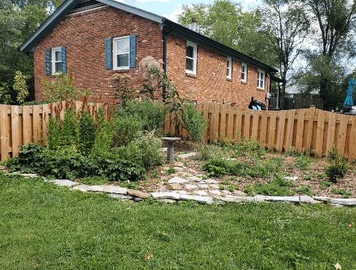 Butterfly milkweed