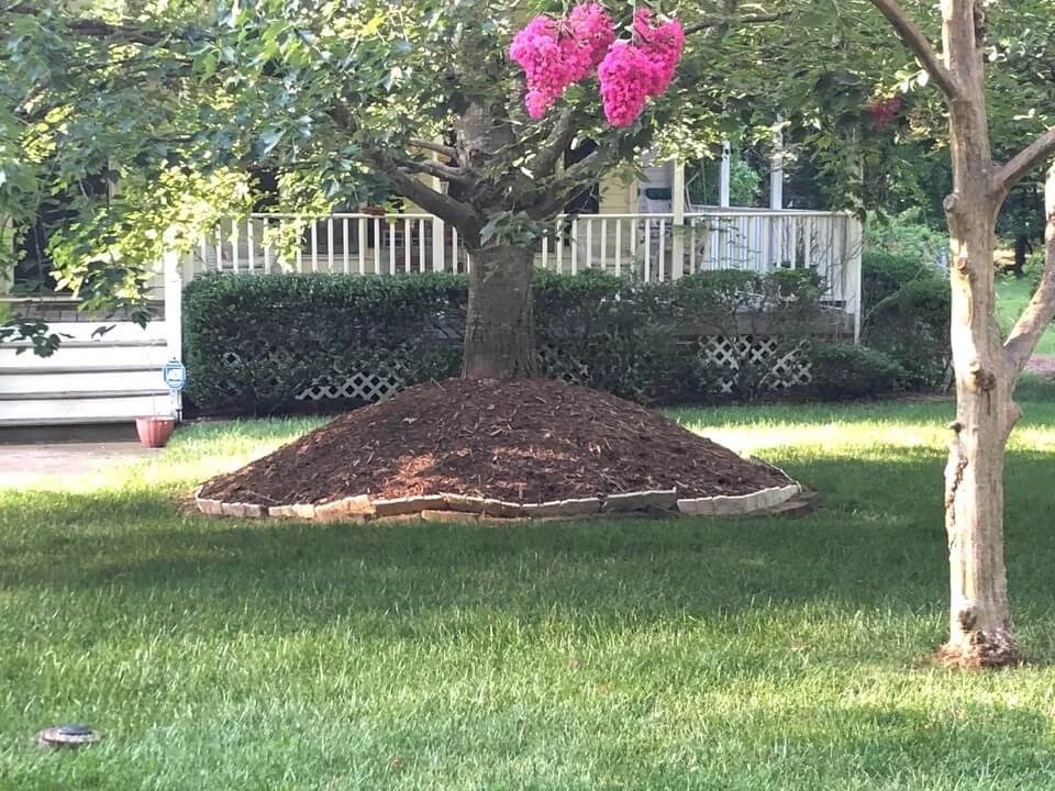 Mulch volcanoes