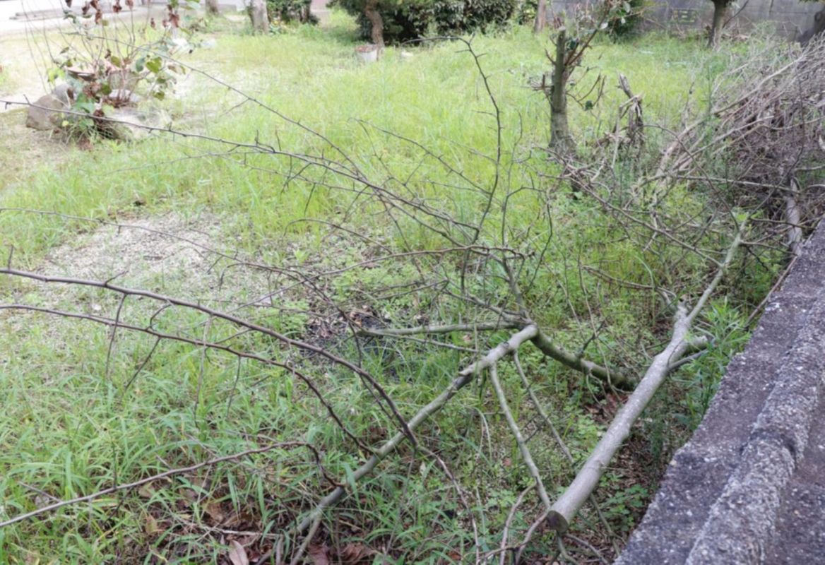 "I recommend getting your soil tested for metals."