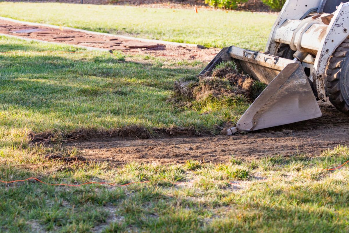 “Just about three years ago, this park was a giant lawn.”