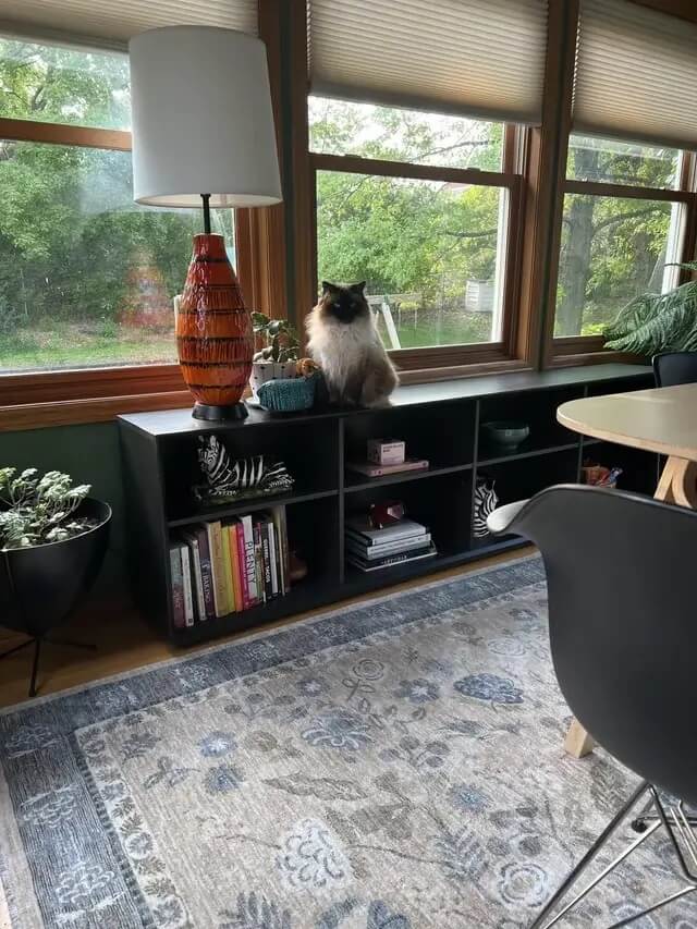 Room & Board bookcase