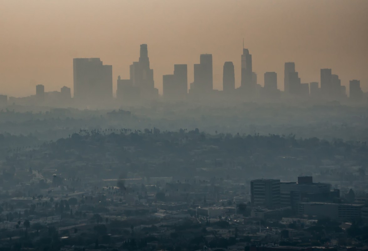 "There are many studies that examine the effects of individual nature-based solutions, but this merges all of them and analyzes the potential systemic effect."