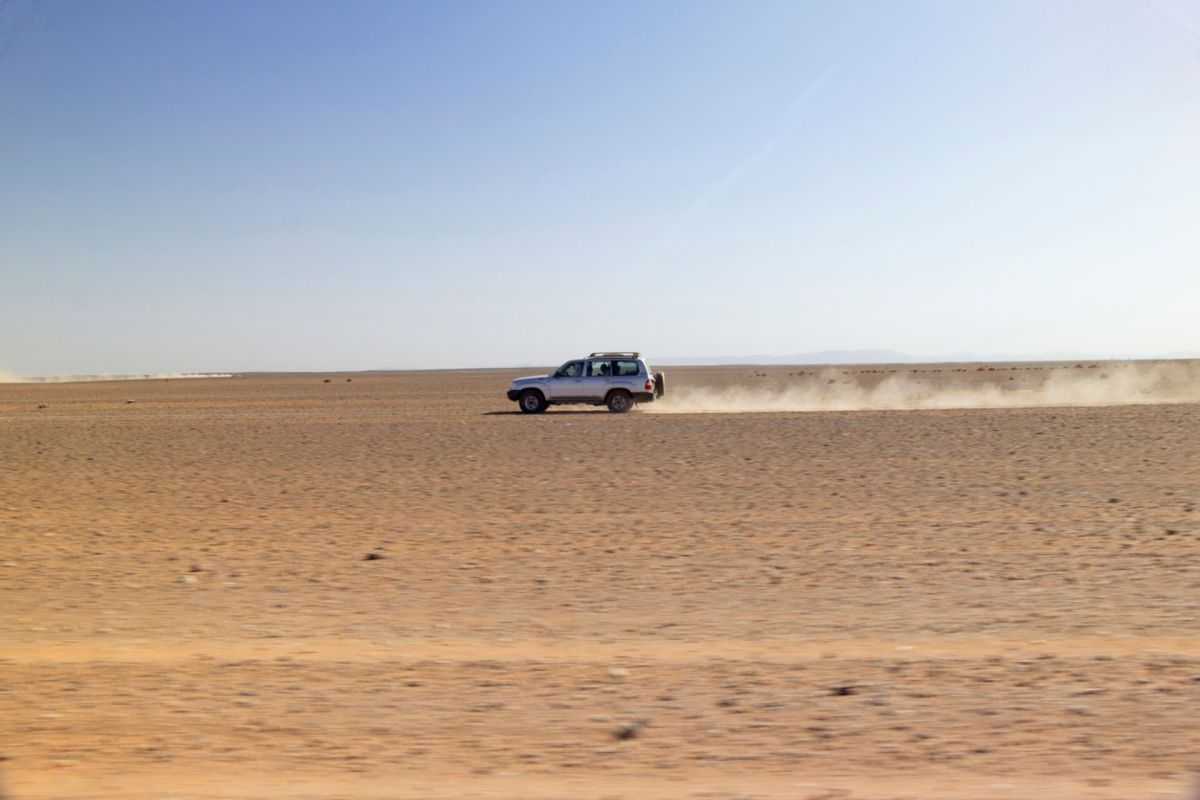 “Stella Terra must withstand the harsh conditions of off-roading while remaining efficient and light enough to be powered by the sun."