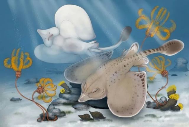 The findings were announced to the public on National Fossil Day.