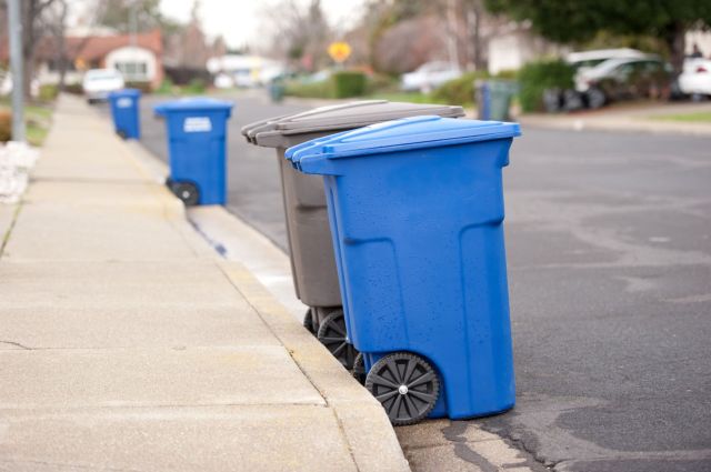 "This is my magnum opus of dumpster diving."