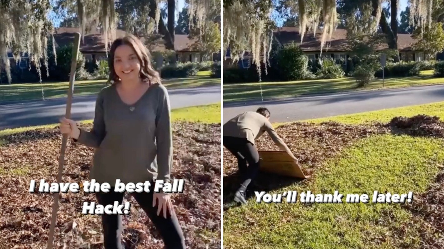 "This is brilliant!"