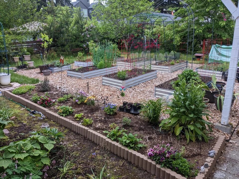 raised garden beds