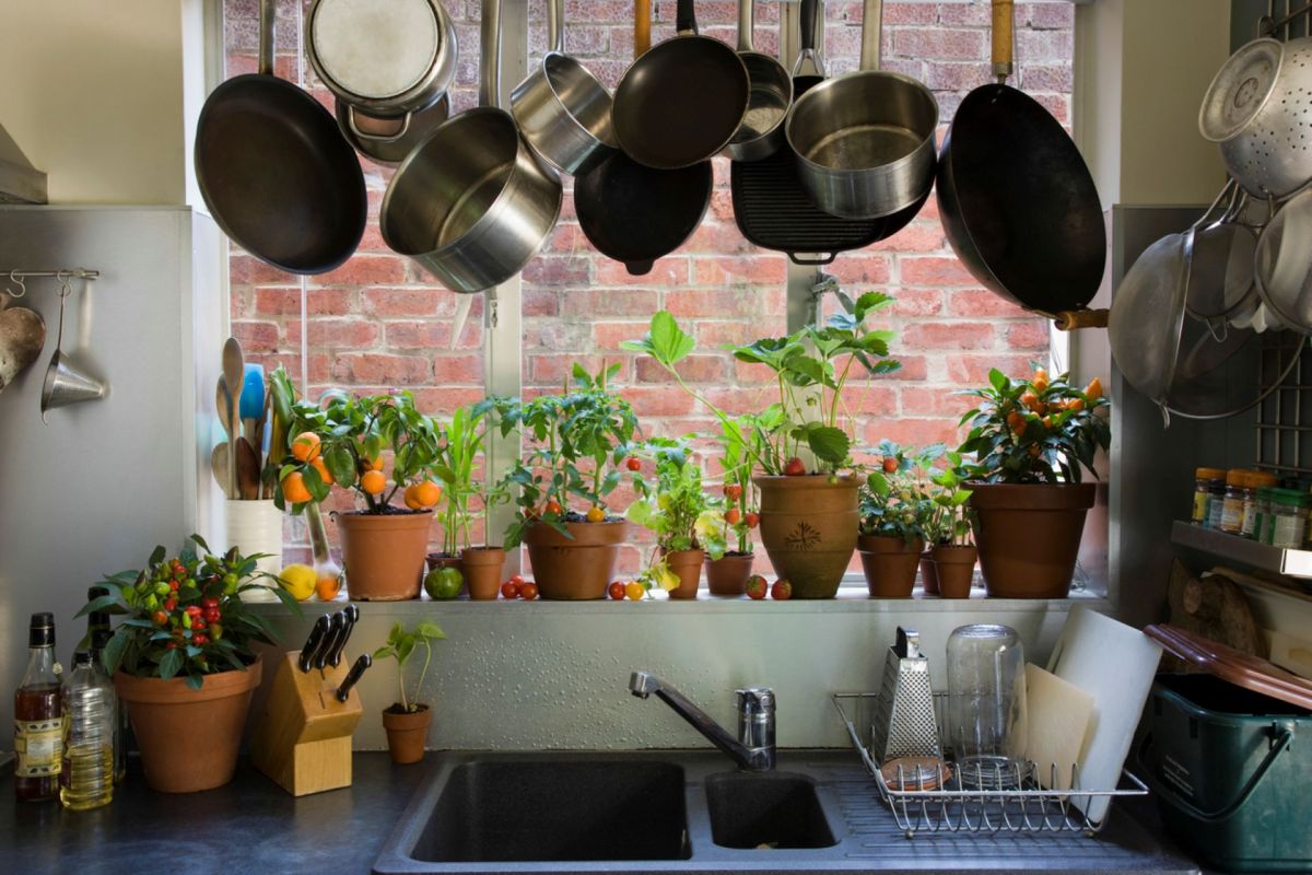 “There is evidence that exposure ... can lead to adverse human health effects.”