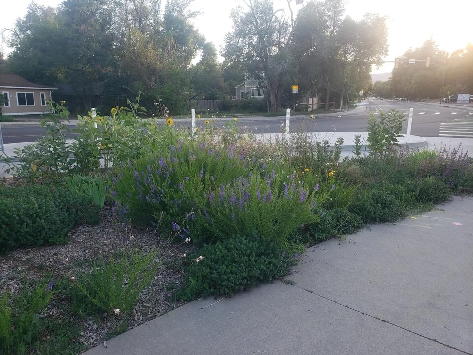 "I think green barriers like this are great urban design which should be replicated wherever possible."