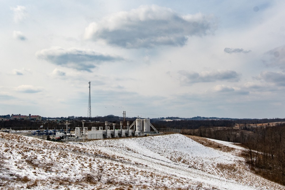 "At a time when the science is telling us we have to stop all the oil and gas, instead we’re doing this in our parks."