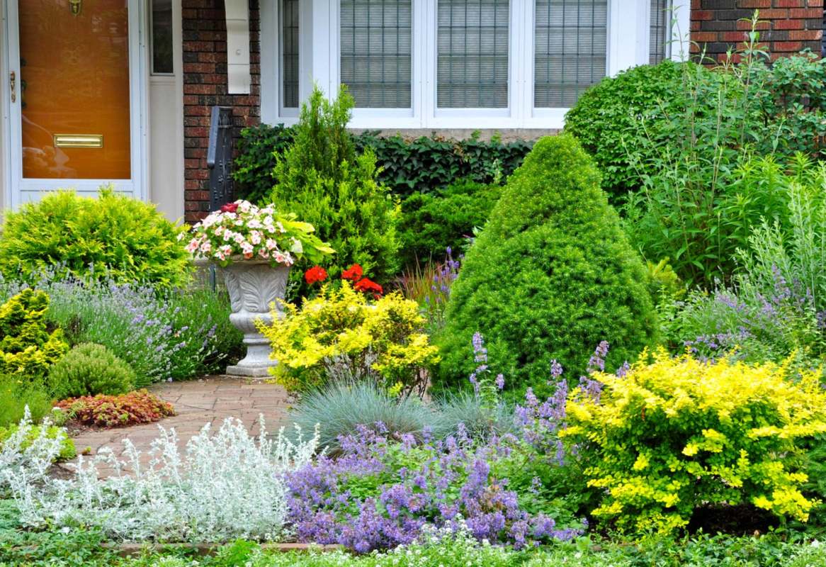 "One corner near the driveway and walkway tends to attract water."