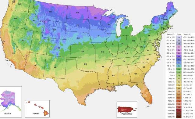 "Even warm-weather plants like tomatoes can be harmed..."