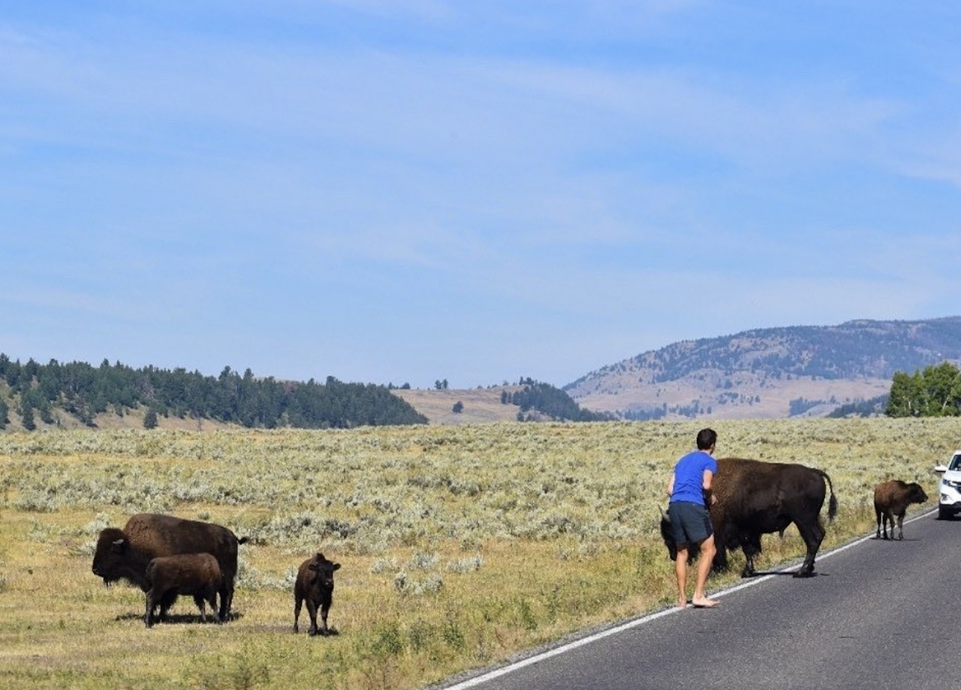 Protecting and respecting these creatures is incredibly important when visiting our natural landscapes.