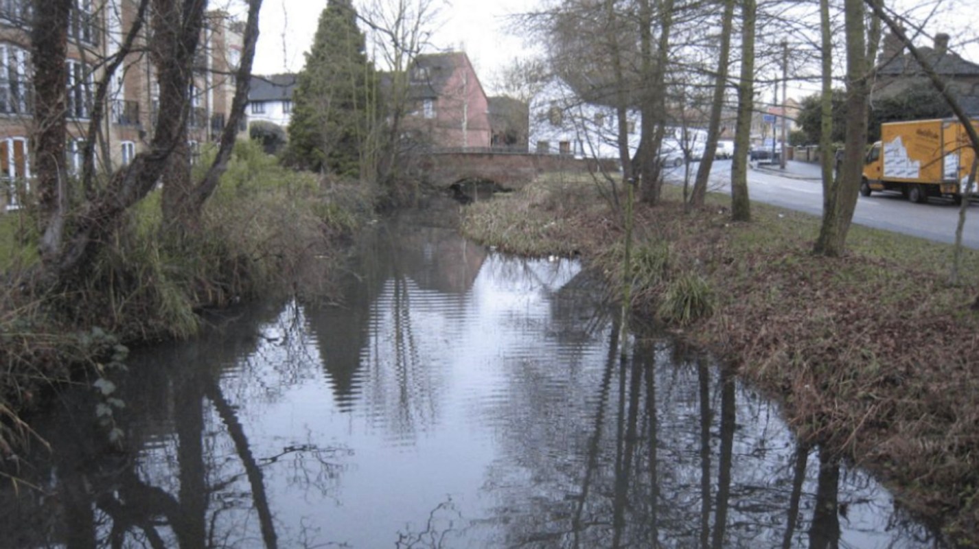 "Nature's remarkable ability to recover, when given a chance, is on full display at the River Wandle."