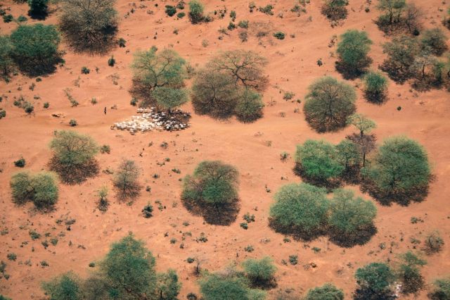 “We are slowly learning how to deal with the droughts."