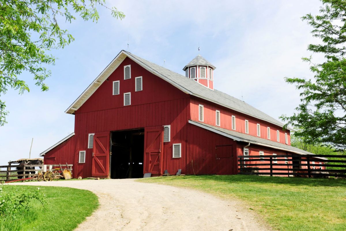 "We feel this is the answer to small-scale farming."