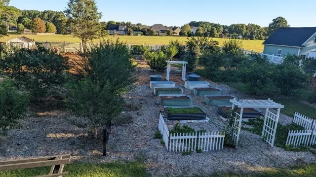 raised garden beds