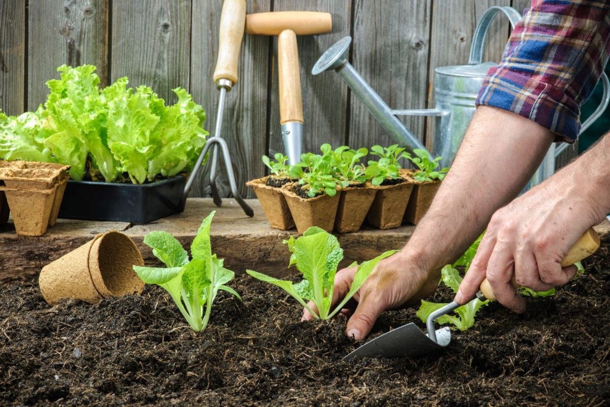 "Even when I'm finished planting I still question myself if it's right."